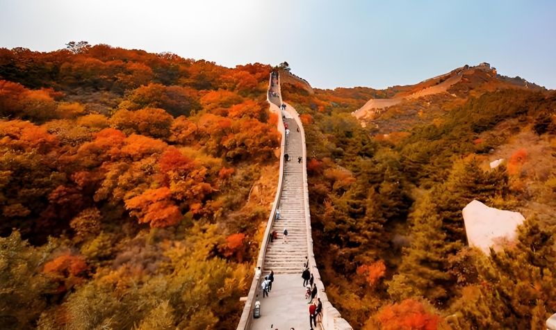 3629e00c-6408-4b93-8650-86d0cadc8fd8_副本.jpg 202410080144109897.jpg