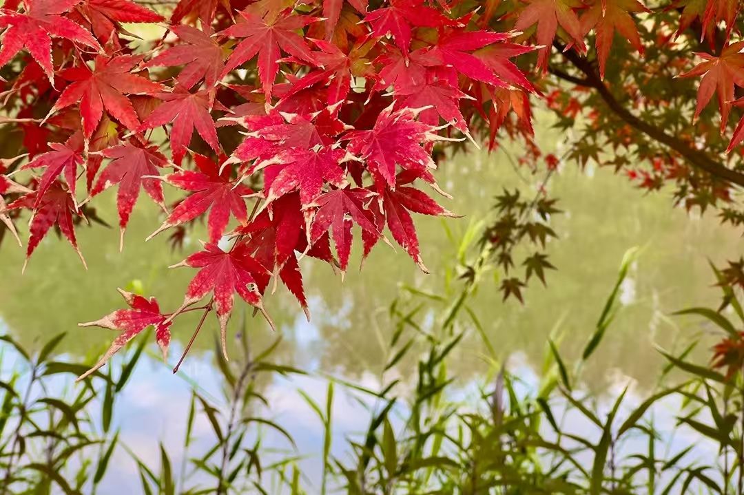 微信图片_20241007150837.jpg 202410080144329428.jpg