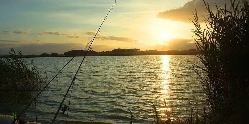 微信图片_20241007150845.jpg 202410080144435991.jpg